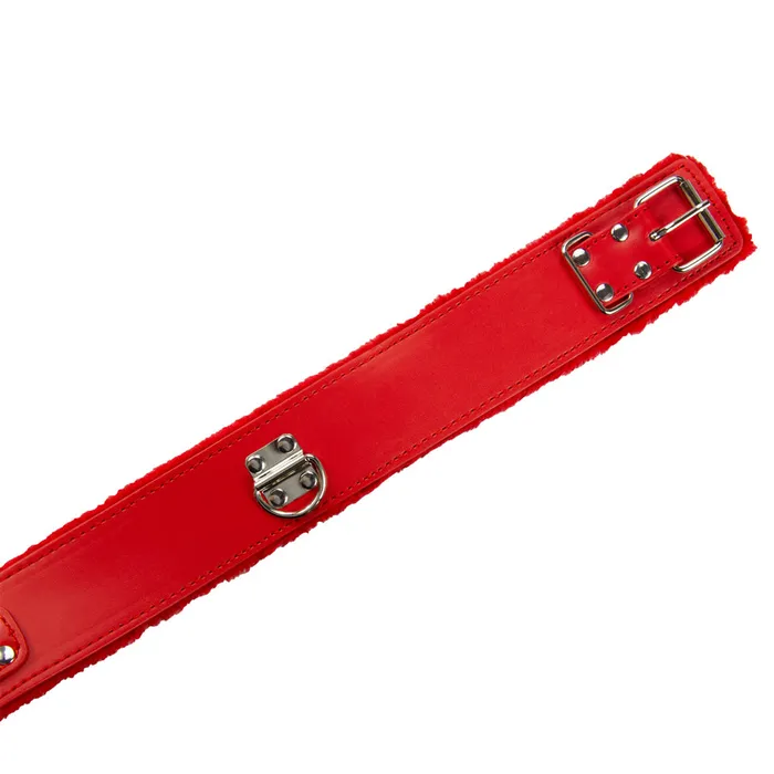 Couples LOVE IN LEATHER Love In Leather 9 Piece Bondage Kit Red